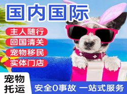 西郊机场邮寄国际宠物托运 【国